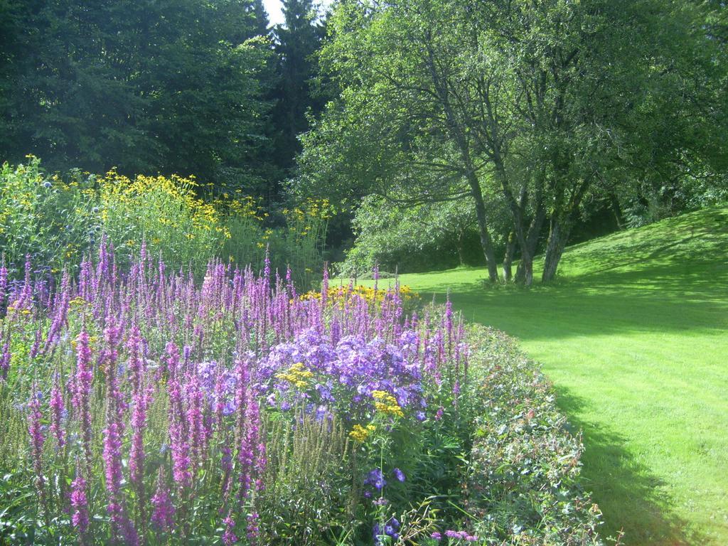 Farm Stay Heidehof Hellenthal Exterior photo